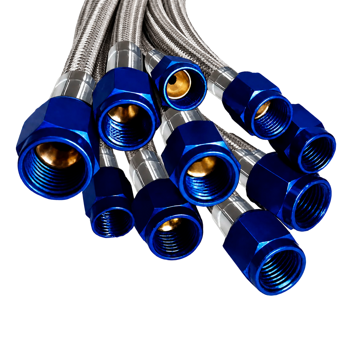 Nitrous Outlet 36" 4AN-3AN Race Stainless Braided Hose (Blue B-Nuts)