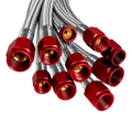 Nitrous Outlet 24" 4AN-3AN Race Stainless Braided Hose (Red B-Nuts)