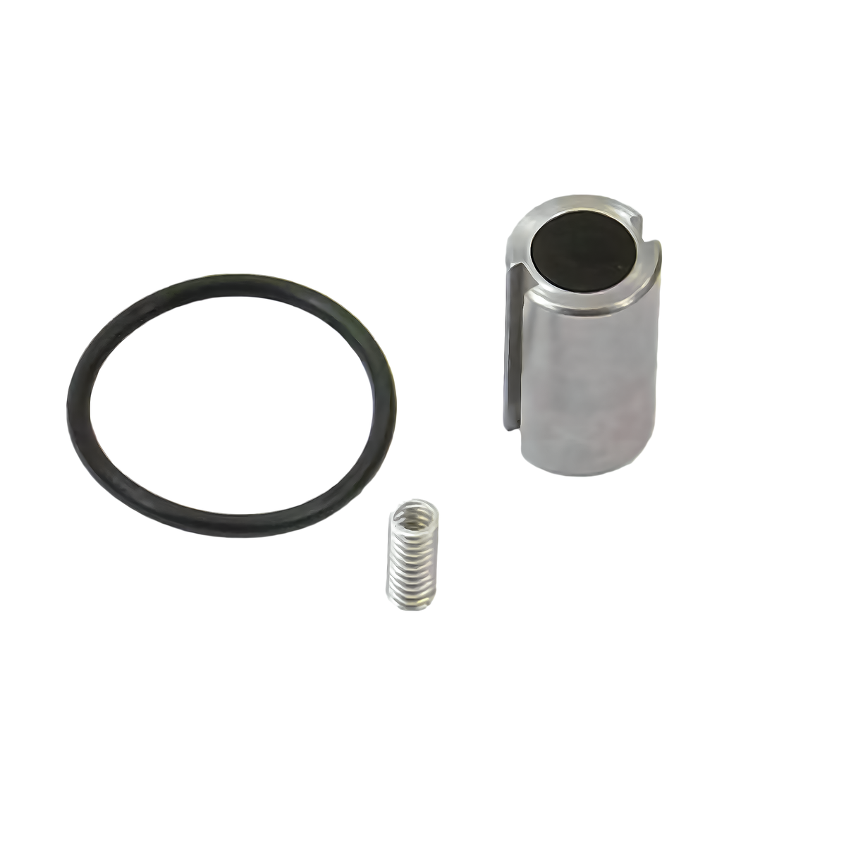 Nitrous Outlet .177 Fuel Solenoid Rebuild Kit - Piston/Spring/O-ring