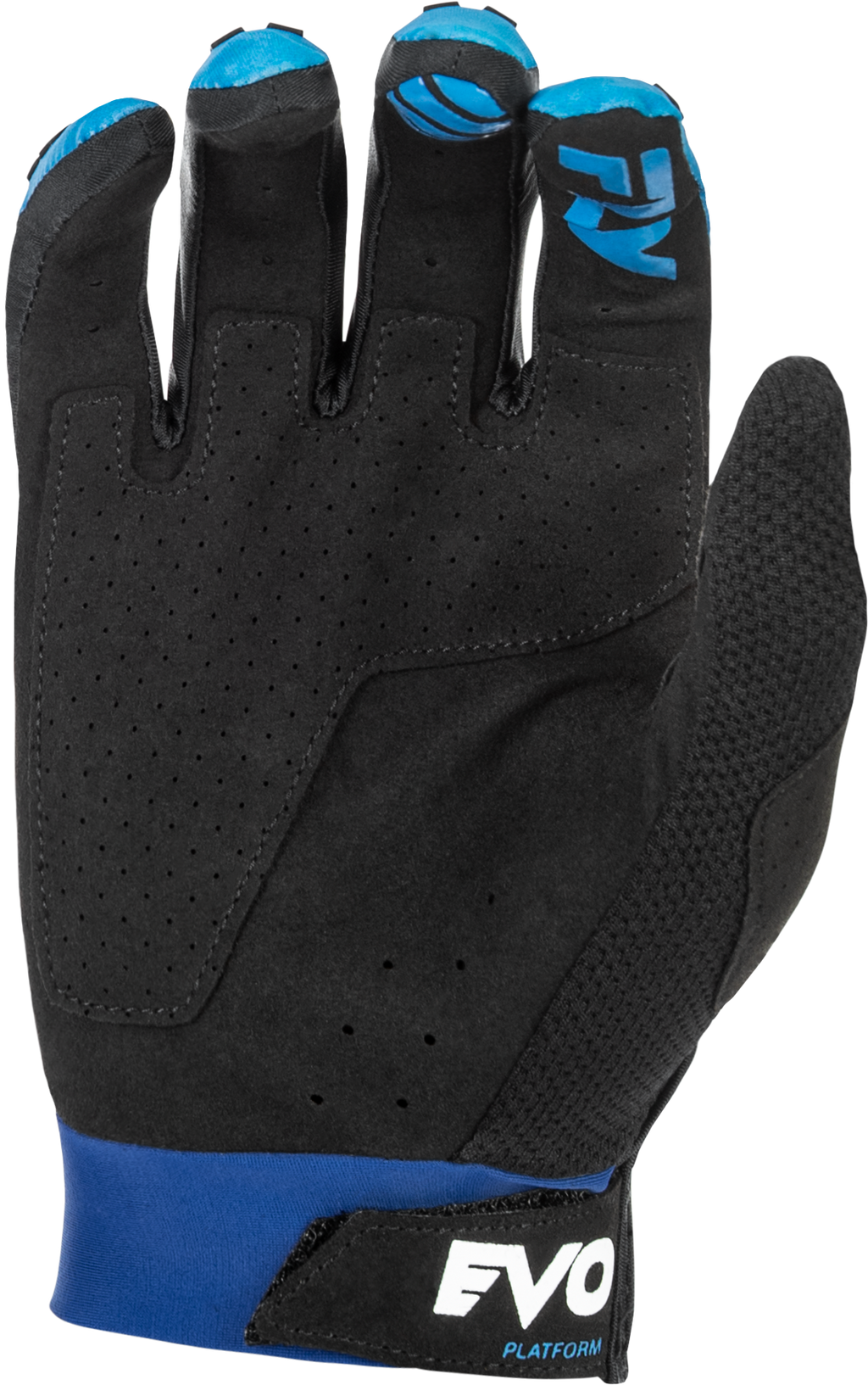 Evolution  Dst Gloves Blue/White 2x