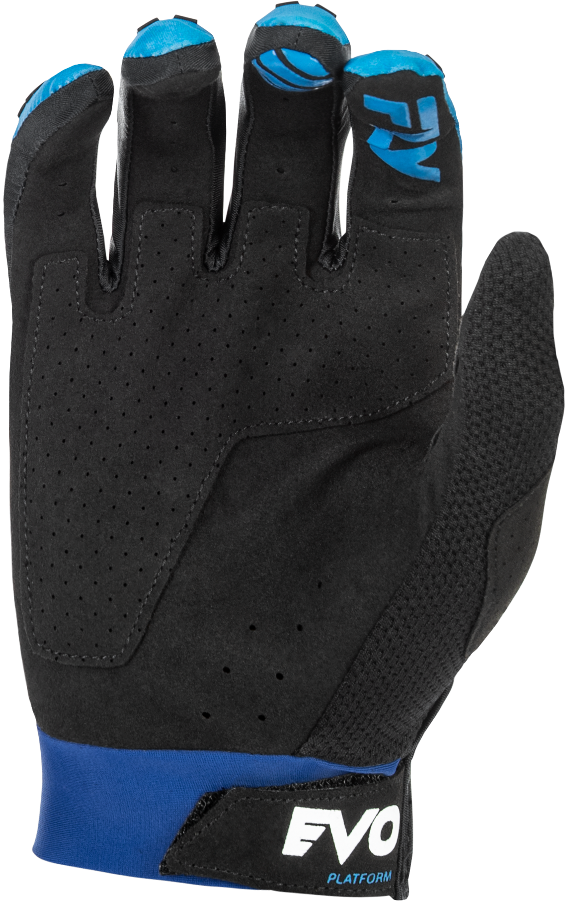 Evolution  Dst Gloves Blue/White Sm