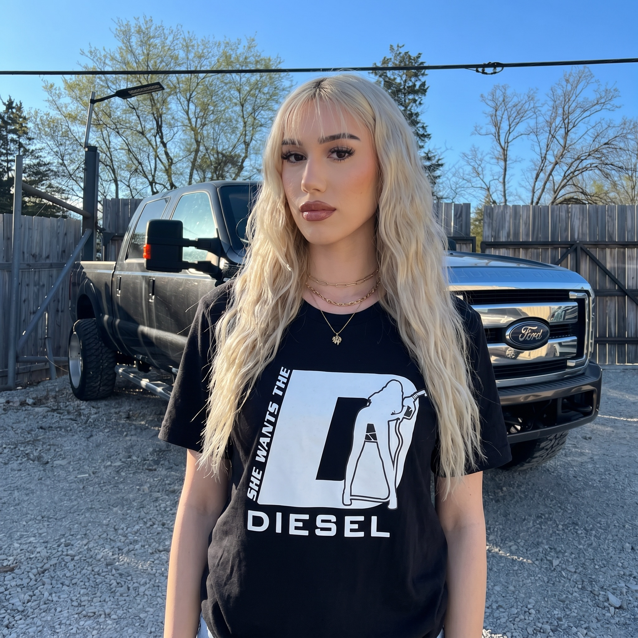 She Wants The Diesel T-Shirt