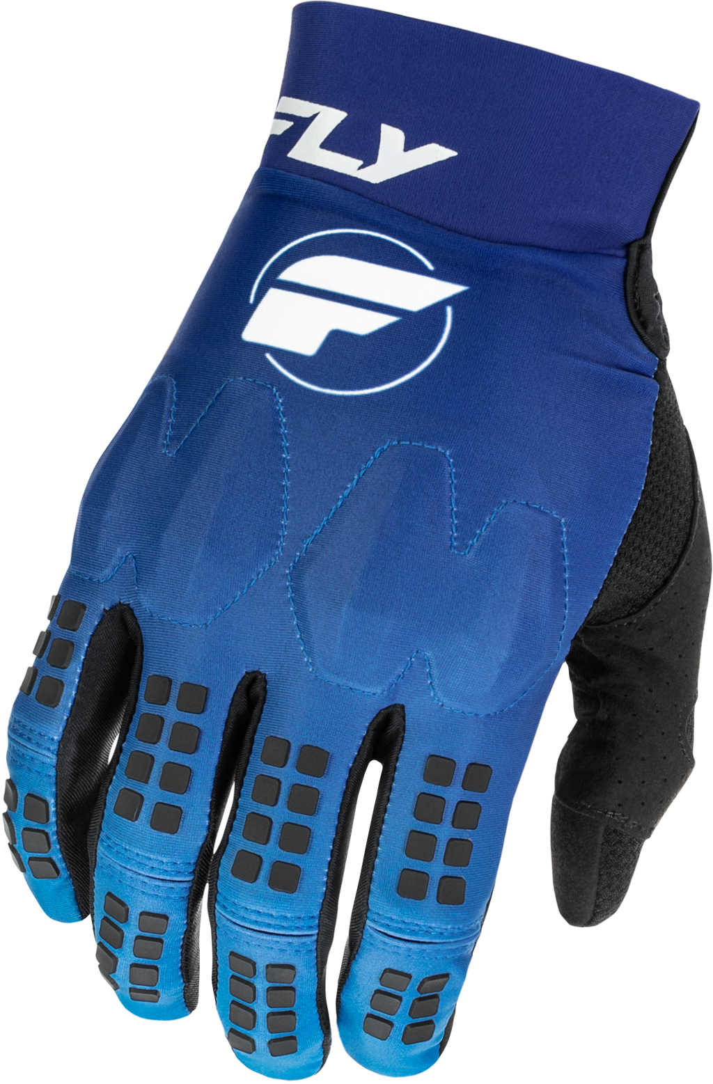 Evolution  Dst Gloves Blue/White Sm