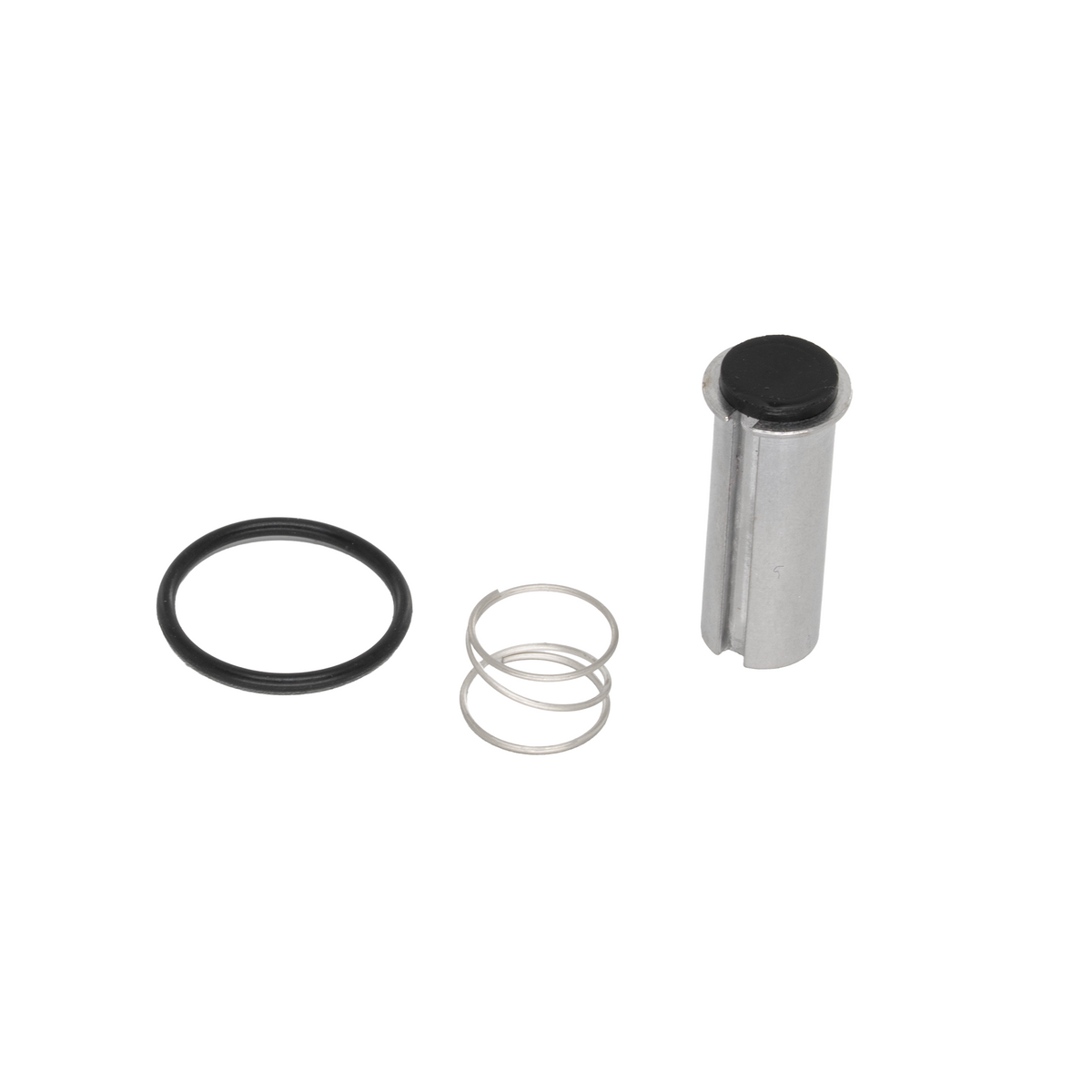 Nitrous Outlet .310 Fuel Solenoid Rebuild Kit - Piston/Spring/O-ring